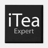 i Thee Expert (IT Expert) Magneet (Voorkant)