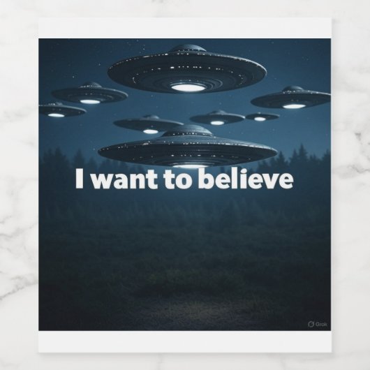 I want to believe wijn etiket (Enkel label)