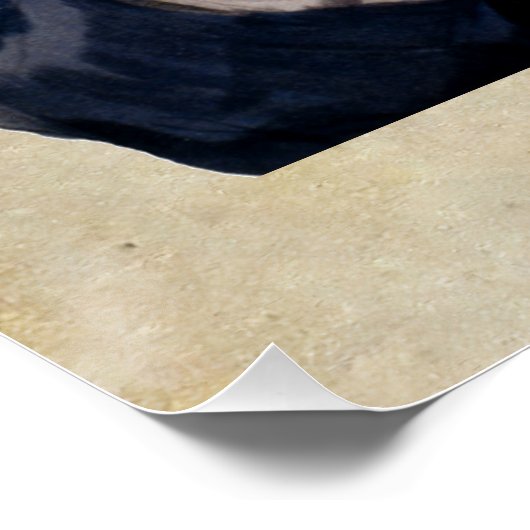 I Want You, Uncle Sam Perfect Poster (Hoek)