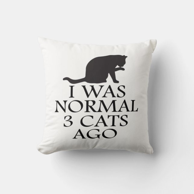 i-was-normaal-3-katten-geleden—grappig-kat kussen (Voorkant)