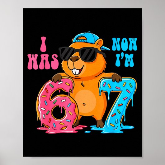 I Was Six Now I'm Seven 6 7 Capybara 67 Meme 7th B Poster (Voorkant)
