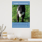 Iambische diameter 24 x 36 inch Poster klaslokaal (Keuken)