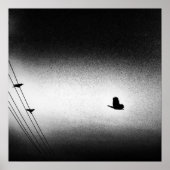 Ianiverse Noir (de missie) Poster (Voorkant)