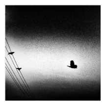 Ianiverse Noir (de missie)