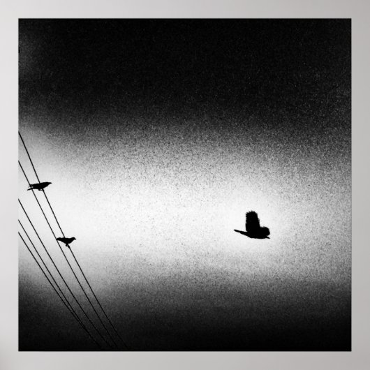 Ianiverse Noir (de missie) Poster (Voorkant)