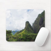 iao - naaldstaatmonument in maui hawaii muismat (Met muis)