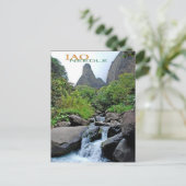 IAO NEEDLE BRIEFKAART (Staand voorkant)