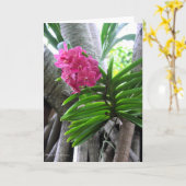 Iao Valley - Maui, Hawaï Kaart (Gele Bloem)