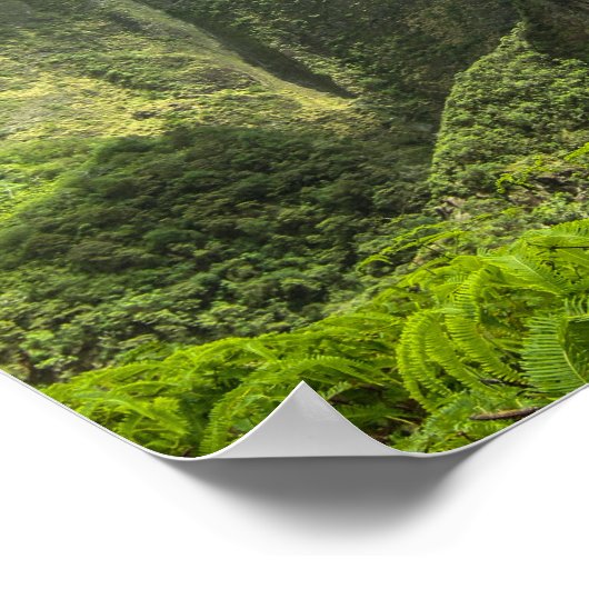 Iao Valley Poster (Hoek)