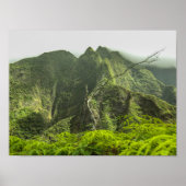 Iao Valley Poster (Voorkant)
