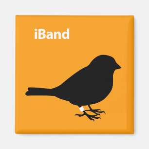 iBand-Sinaasappel Magneet