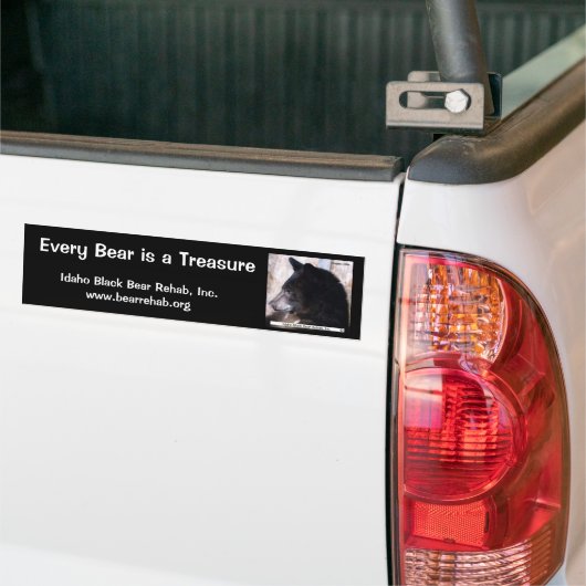 IBBR-Bumpersticker - Ruggles Bumpersticker (Op Truck)