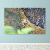 Iberische Kikker In De Azoren Canvas Afdruk (Insitu (Houten vloer))