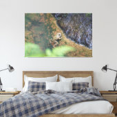 Iberische Kikker In De Azoren Canvas Afdruk (Insitu (Slaapkamer))