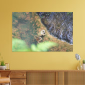 Iberische Kikker In De Azoren Canvas Afdruk (Insitu (Woonkamer))