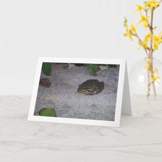 Iberische kikker kaart (Gele Bloem)