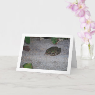 Iberische kikker kaart