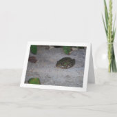 Iberische kikker kaart (Voorkant)