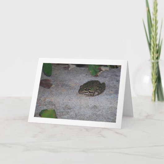 Iberische kikker kaart (Voorkant)