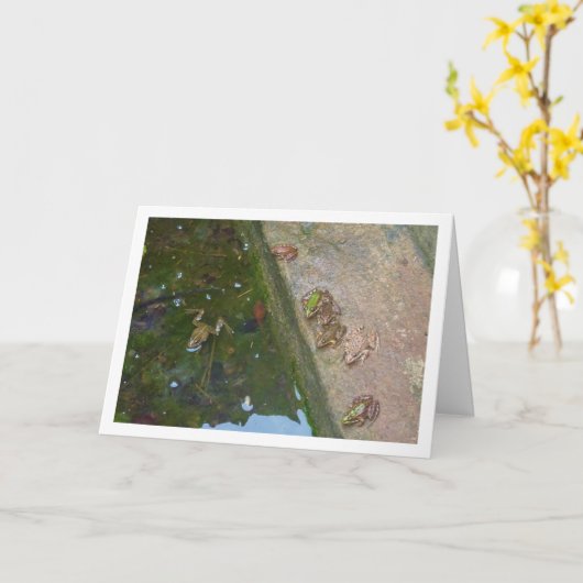 Iberische kikkers Kaart (Gele Bloem)