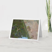 Iberische kikkers Kaart (Voorkant)