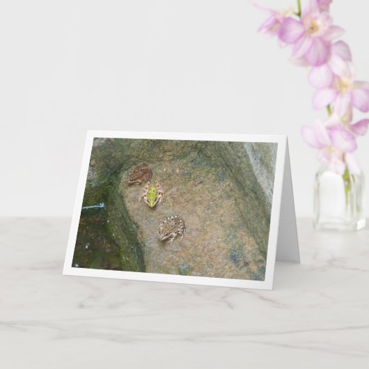 Iberische kikkers kaart (Orchidee)