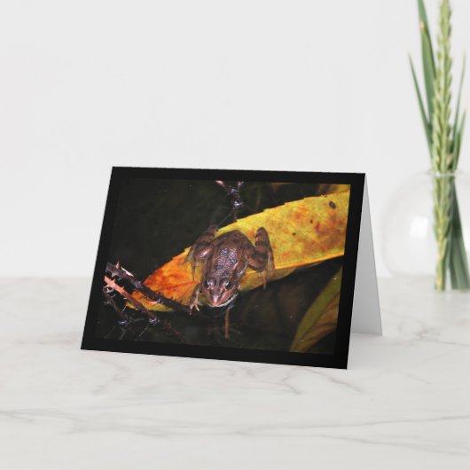 Iberische Waterkikker op Blad Kaart (Voorkant)