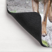iberische wolf muismat (Hoek)
