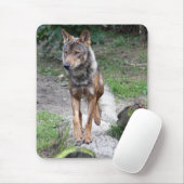 iberische wolf muismat (Met muis)