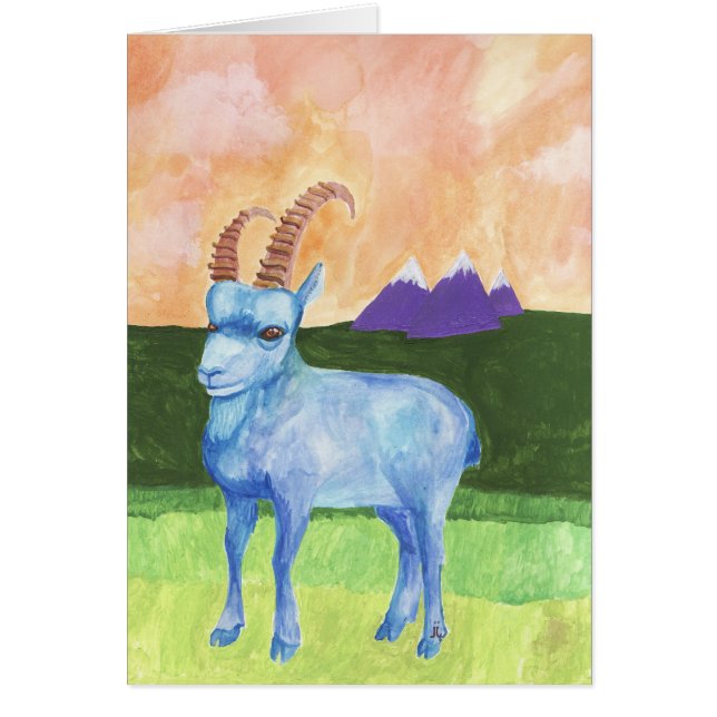 ibex (Voorkant)