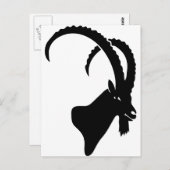 ibex capricorn steinbock berggeiten klimmen briefkaart (Voorkant / Achterkant)