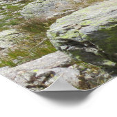 Ibex Chamonix French Alps Poster (Hoek)