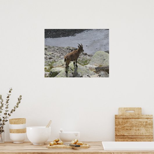 Ibex Chamonix French Alps Poster (Keuken)