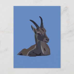 Ibex Goat Animal Art Goat Briefkaart