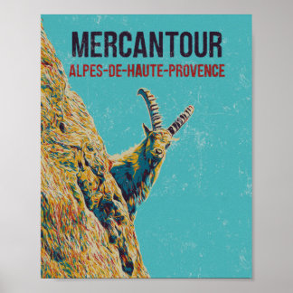 Ibex in de Mercantour, Alps, Frankrijk Poster