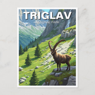 Ibex in Triglav Nationaal Park Slovenië Reizen Briefkaart