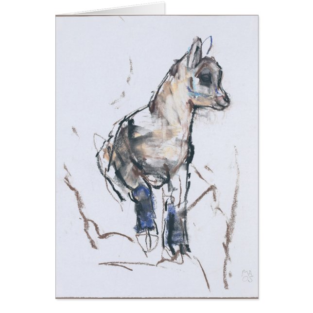 Ibex-Kind (Voorkant)