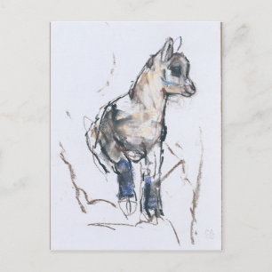 Ibex-Kind Briefkaart