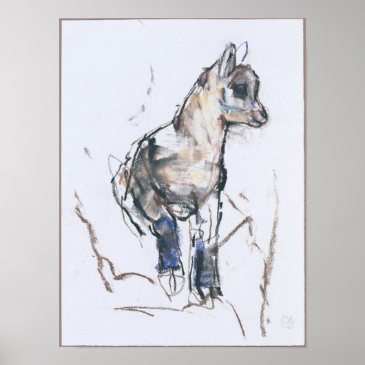 Ibex-Kind Poster (Voorkant)