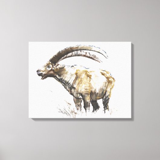 Ibex Noasca Canvas Afdruk (Voorkant)