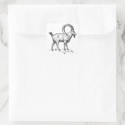 Ibex Vierkante Sticker (Tas)