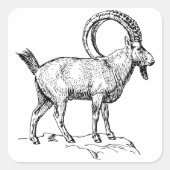 Ibex Vierkante Sticker (Voorkant)