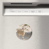 Ibex - Yael Magneet (Insitu (Vaatwasser))