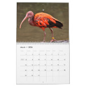 Ibis 2025 Kalender (Mar 2026)
