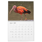 Ibis 2025 Kalender (Mar 2027)