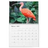 Ibis 2025 Kalender (Feb 2027)
