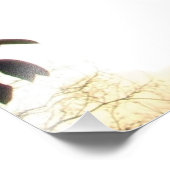 Ibis Ballet in Flight Photo Print Foto Afdruk (Hoek)