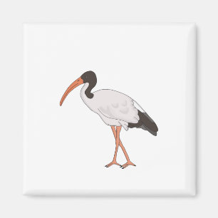 Ibis Bin Chicken Bird Magneet