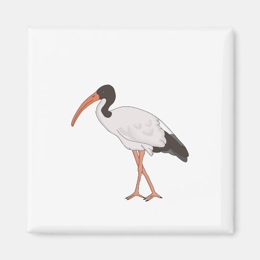 Ibis Bin Chicken Bird Magneet (Voorkant)