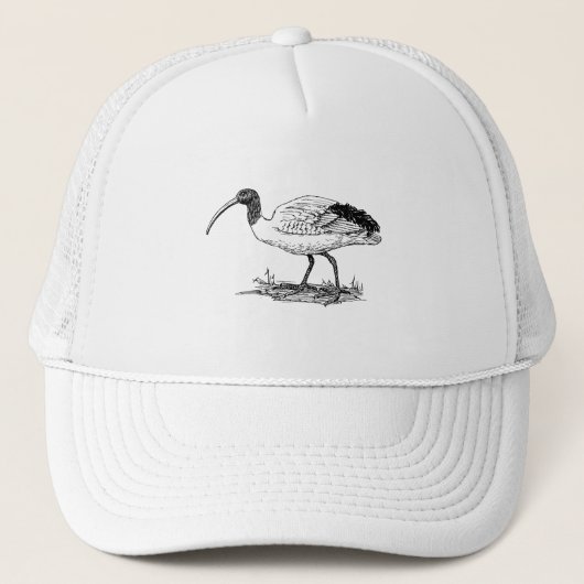 Ibis Bird Art Trucker Pet (Voorkant)